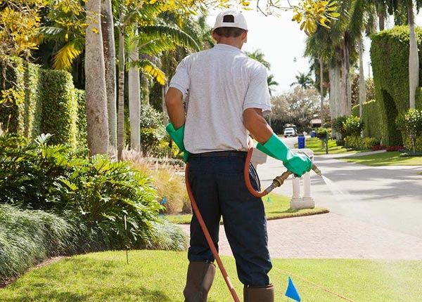 About Denmark SC Pest Control Pros